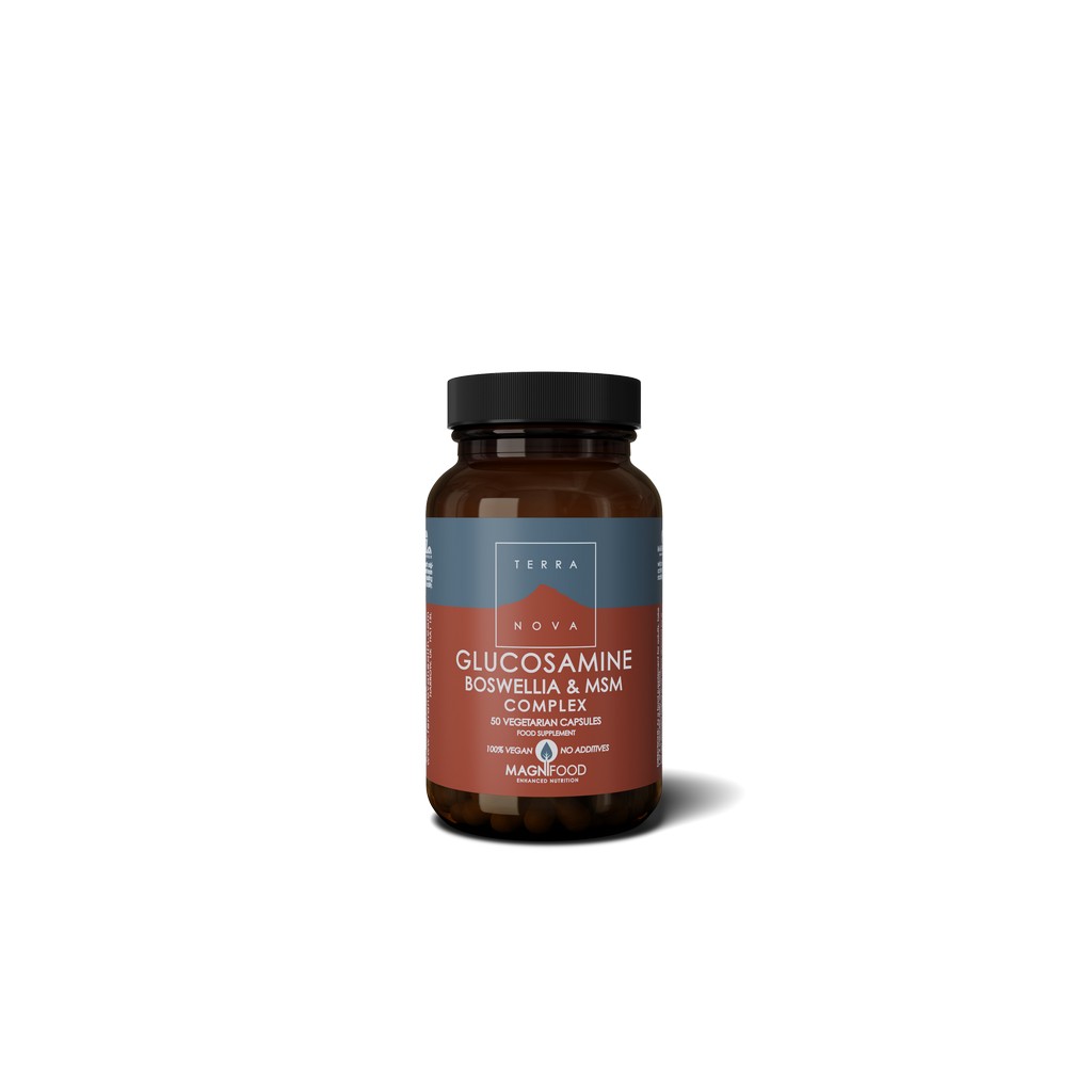 Terranova Glucosamine Boswellia MSM Complex