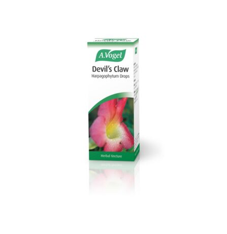 A.Vogel Devil's Claw 50ml