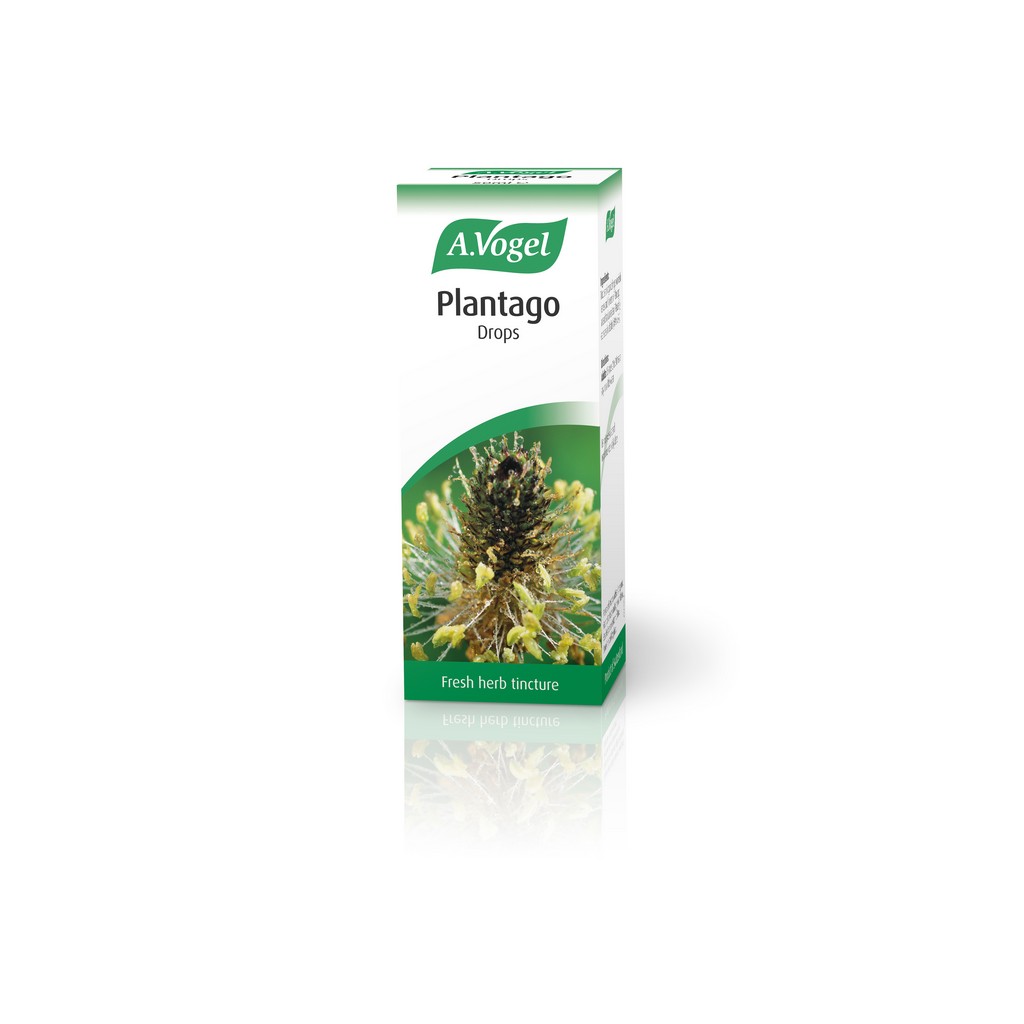 A.Vogel Plantago lanceolota 50ml