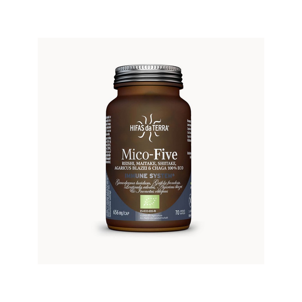Hifas da Terra Mico Five CHAGA