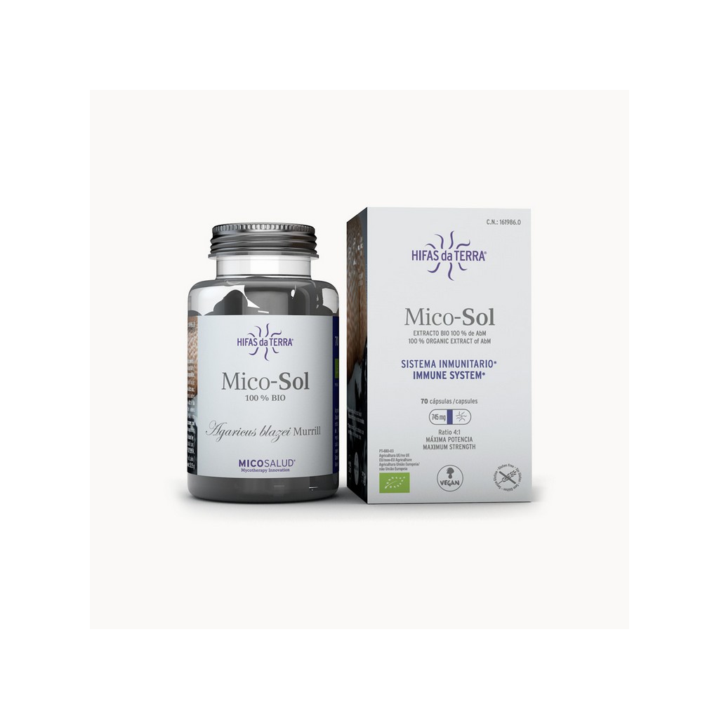 Hifas da Terra Mico-Sol