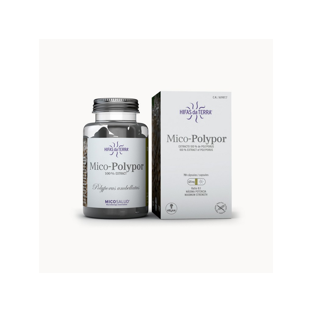 Hifas da Terra Mico-Polypor