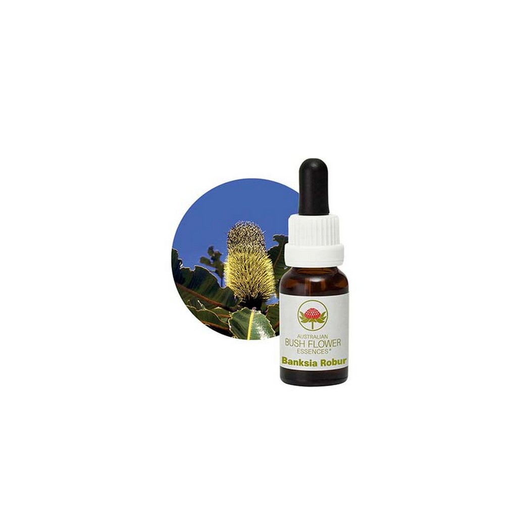 Australian Bush Flower Essences Banksia Robur 15ml